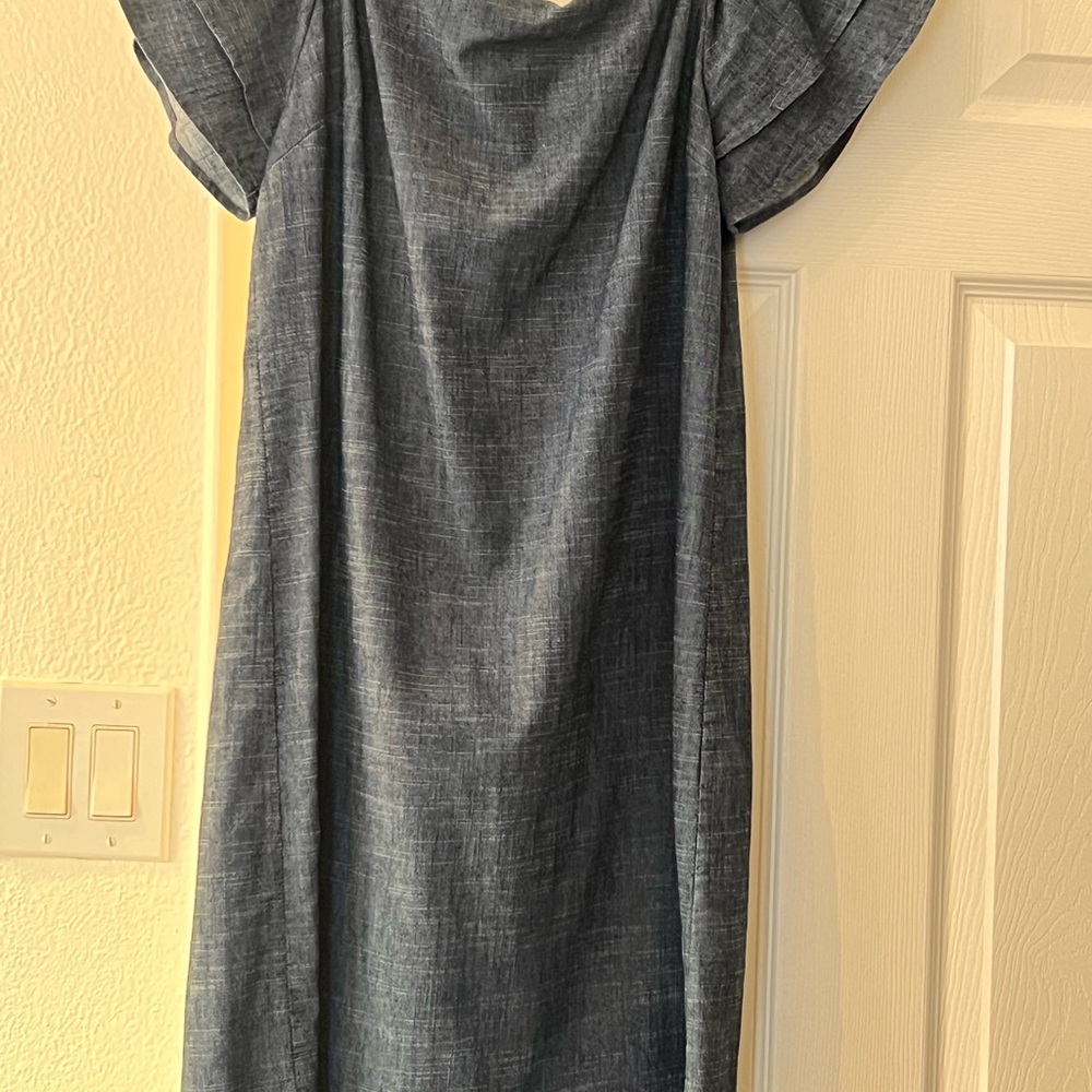 Alice and Olivia denim dress.